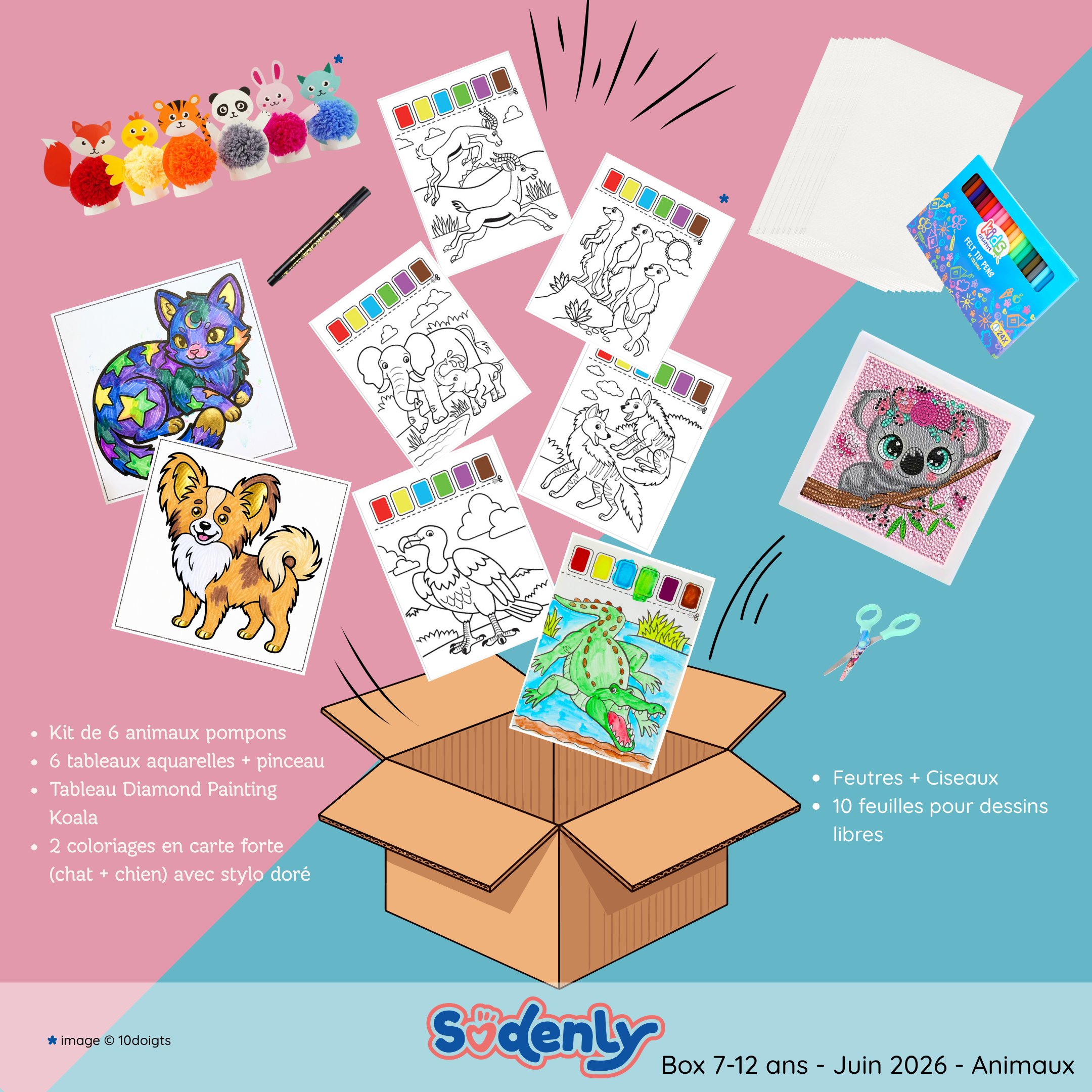 Box Juin 2026 à l'unité✨ 7-12 ans