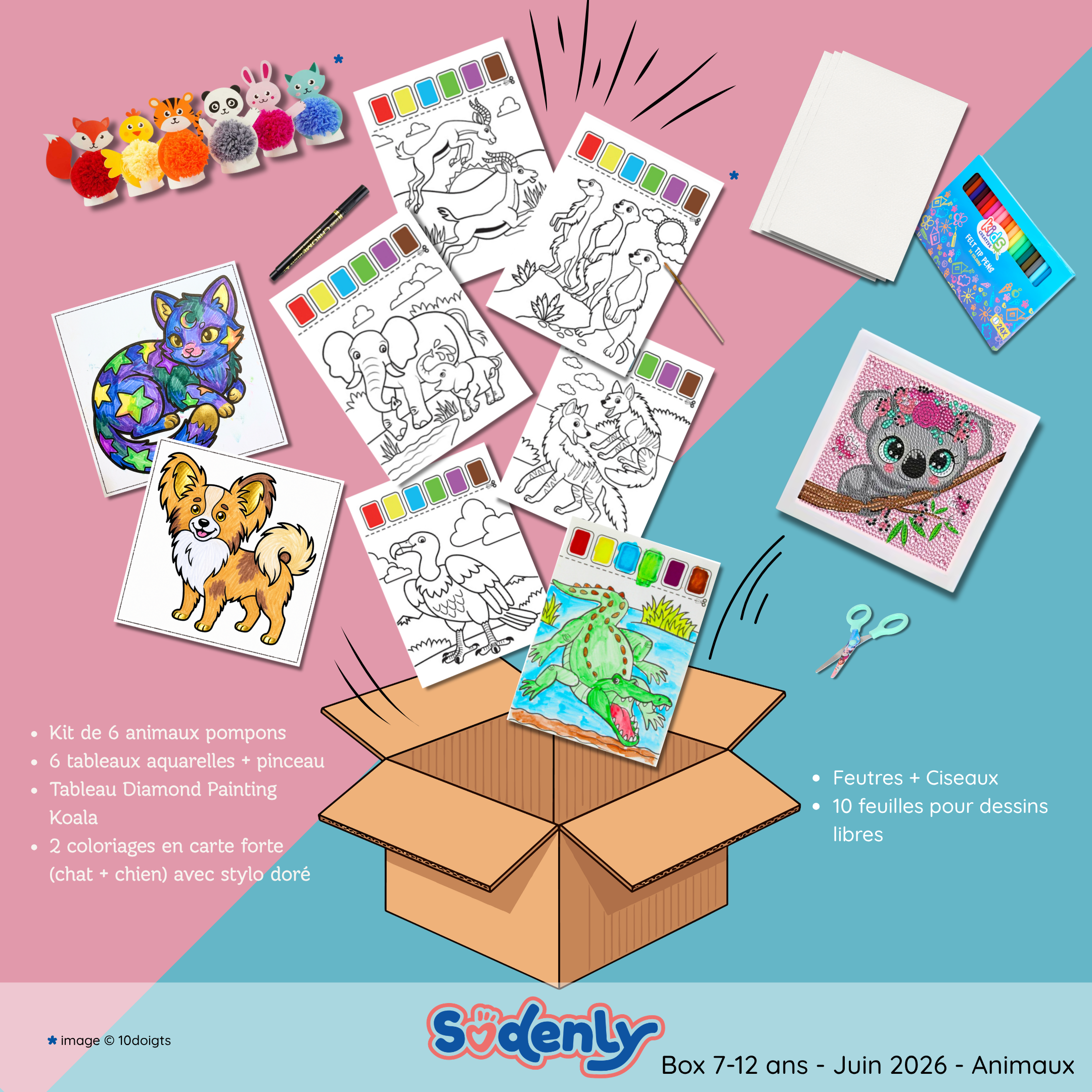 Box Juin 2026 à l'unité✨ 7-12 ans